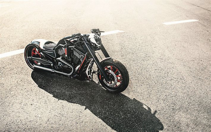Harley Davidson, la Barracuda, el fresco de motocicletas, harley