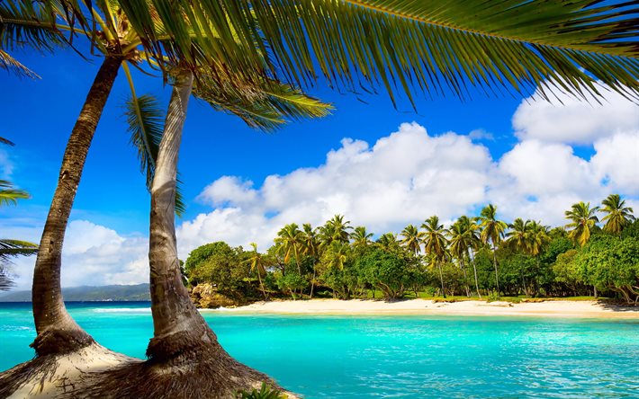 열대, tropical island, paradise, 해변