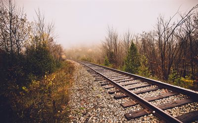 autumn, railway, rails, reiki