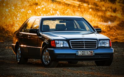 Mercedes-Benz S 600 L, 4k, autumn, 1995 cars, HDR, luxury cars, Black Mercedes-Benz S-class, 1995 Mercedes-Benz S, W140, german cars, Mercedes