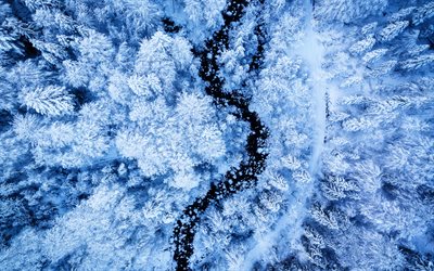 4k, aerial view, winter, forest, pine trees, snowy trees, road, stream, winter forest from above