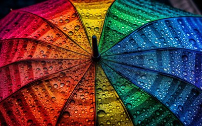 paraguas multicolor, diferentes conceptos de color, lluvia, paraguas, paraguas del arco iris, gotas de lluvia