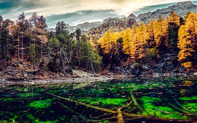 autumn landscape, mountain lake, yellow trees, yellow leaves, emerald lake, autumn, mountain landscape