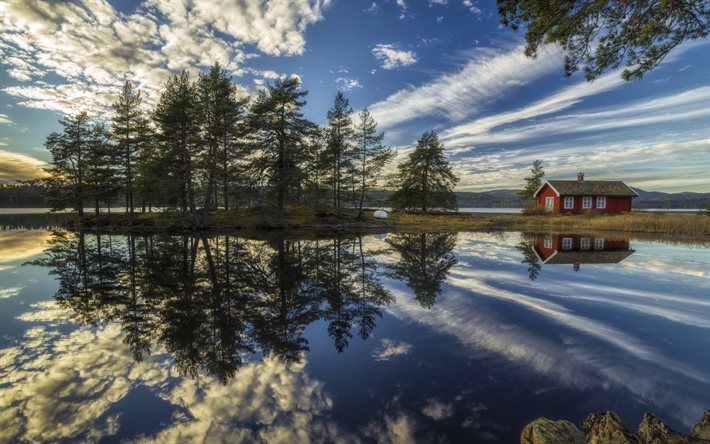 Norway, Ringerike, lake, reflection, evening