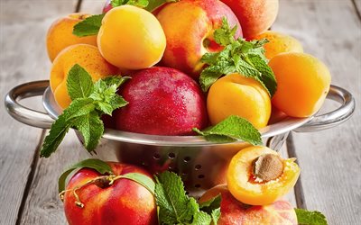 obst, aprikosen, nektarinen, pfirsiche, frucht-platte