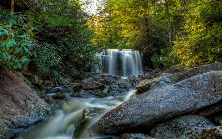 beautiful waterfall, forest, river, waterfalls, USA, Elakala Falls, Blackwater Falls State park