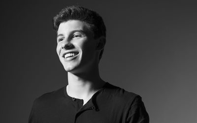 Shawn Mendes, monochrome, guys, celebrity, canadian singer
