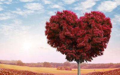 heart tree, 4k, autumn, love, field