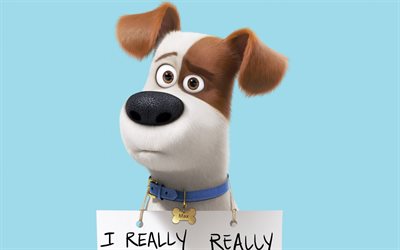Max, characters, 2016, The secret life of pets