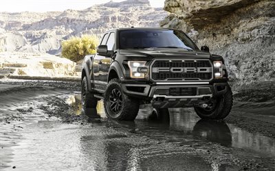 Ford F-150 Raptor, 2016, hors-route, camion pick-up