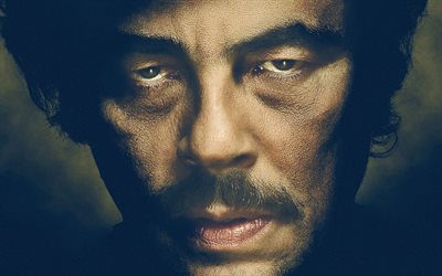 Benicio del Toro, actor, face, photograph, celebrities