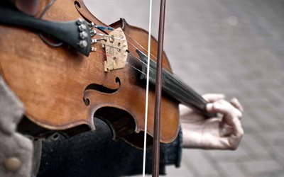violinist, fiol, foton av violiner