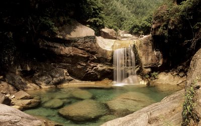 privado, a beleza da floresta, natureza incrível, cachoeira, lago, delavigne da natureza