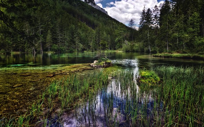 gruner lake, green lake, austria, gruner see, styria