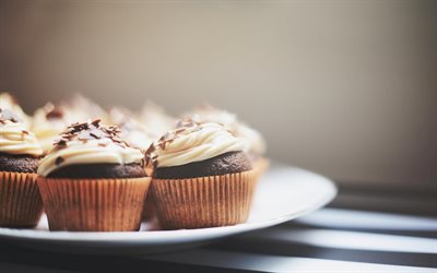 torte, cupcakes, foto di cupcakes, dolci, cioccolato