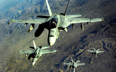 القوات الجوية الأمريكية, المقاتلين الولايات المتحدة الأمريكية, الدبور, fa-18, ماكدونيل دوغلاس, f-18