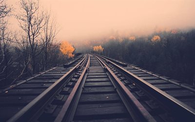 les traverses, les rails, automne, chemin de fer, brouillard
