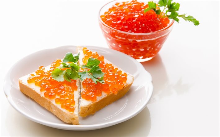 caviar vermelho, delicadeza, foto