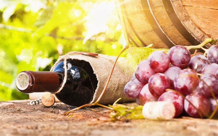 foto, di vino, una bottiglia di vino, uva