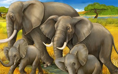 family of elephants, elephants, elephant