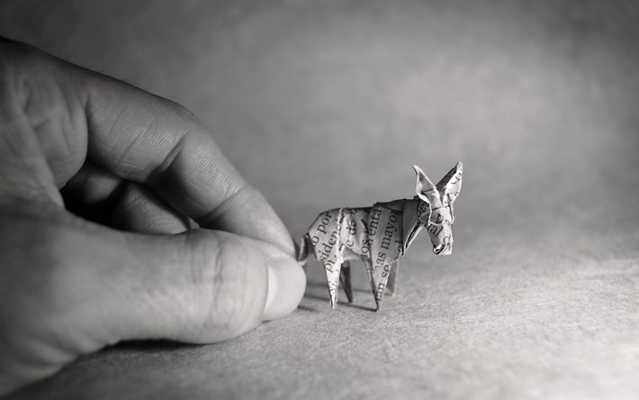 origami, burro