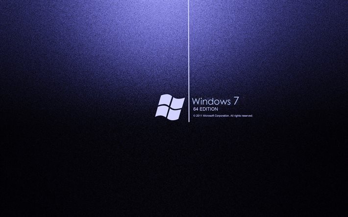 windows 7, logotipo, 64 bits)
