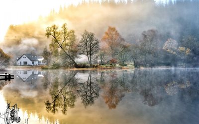 nevoeiro, a aldeia, floresta, o lago