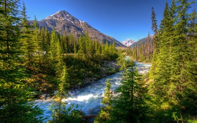 la montaña y al río, las montañas, la naturaleza de canadá, el bermellón de kootenay, canadá