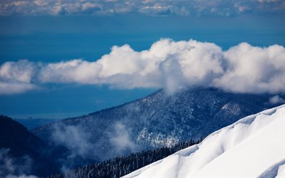 snow-capped mountains, adler, sochi, krasnaya polyana, russia, snow