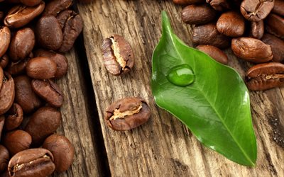 los granos de café, hojas de color verde