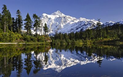 summer, snow-capped mountains, the lake, snow, forest, trees, photo