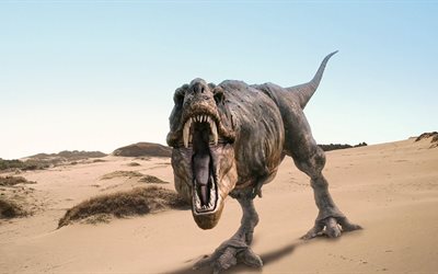 恐竜, 写真, 砂漠