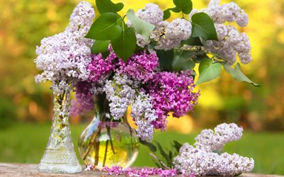 el lila, el ramo de flores de color lila, foto
