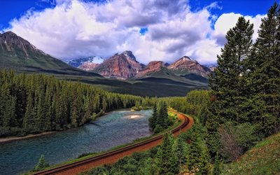 river, coniferous forest, railway, mountains, tree