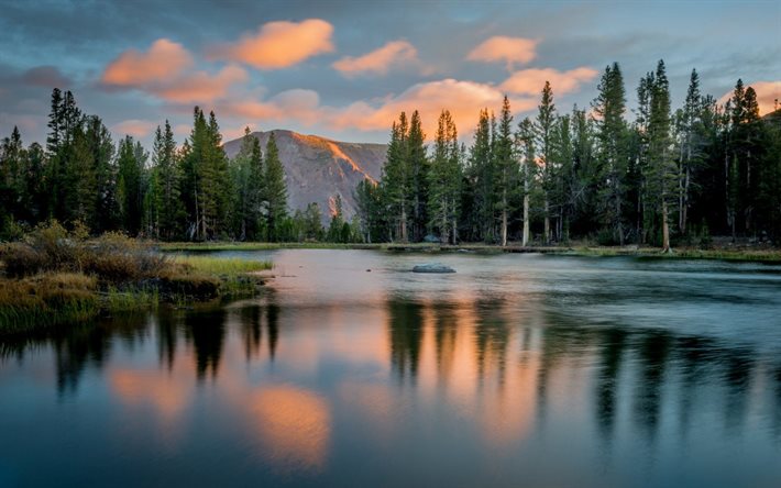 parque nacional, yosemite, nascer do sol, manhã, o lago, califórnia