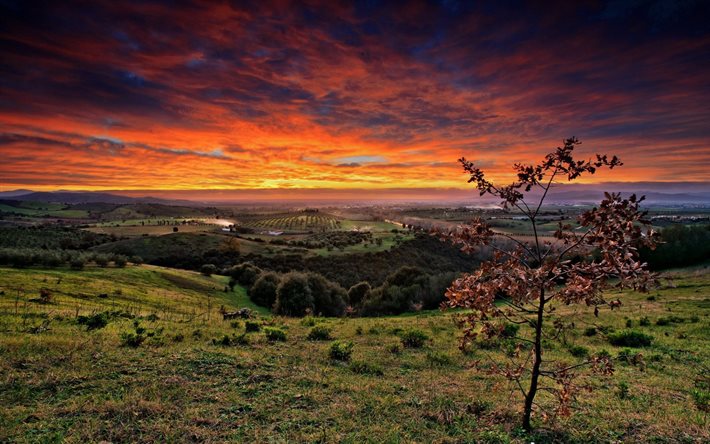 tuscany, इटली, सूर्यास्त, क्षेत्र, शाम, घास का मैदान