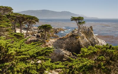 cypress, hav, kalifornien, county of monterey, våg