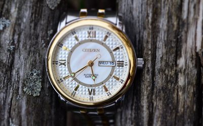 reloj de pulsera, citizen, reloj, madera, textura, tiempo