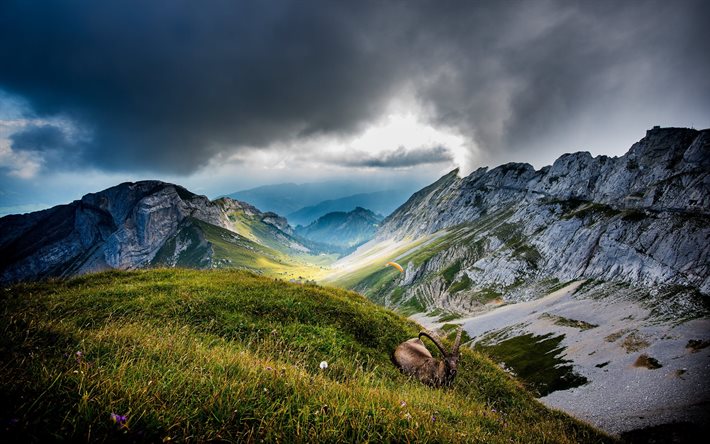 pilatus, chaîne de montagnes, suisse