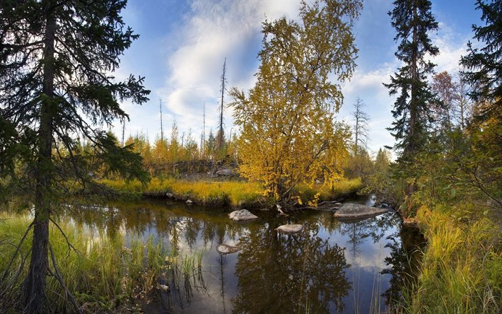 le lac, ruisseau, forêt, automne