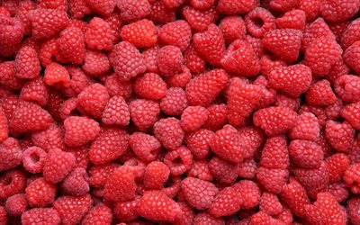 raspberry, raspberries