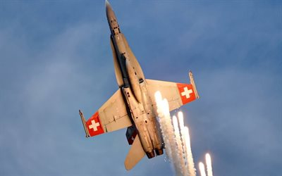 de combate, el f-18, el de la fuerza aérea suiza