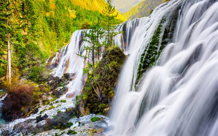 pearl shoal vattenfall, höst, skog, sichuan-provinsen, kina