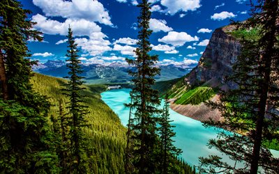 lac peyto, hdr, été, forêt, parc national banff, monuments canadiens, montagnes, photos avec des lacs, belle nature, banff, canada, alberta, lacs bleus