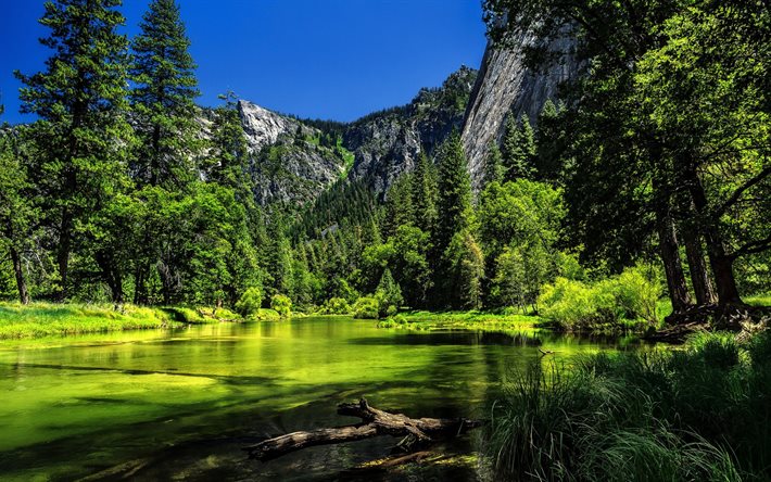 요세미티 국립공원, 여름, merced river, 시에라 네바다, 숲, 캘리포니아, 미국