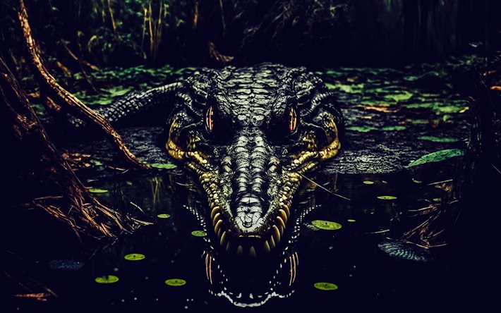 krokotiili, viidakko, joki, 3d  krokotiili, alligaattori, krokotiili vedessä, matelijat, vaaralliset eläimet