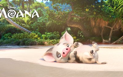 Pua, charactres, pig, 2016, animation, Moana