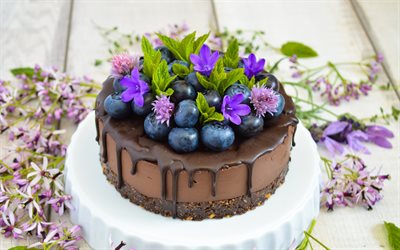 bolo de chocolate, frutas, mirtilos, doces, fotos com bolos, bokeh, bolos