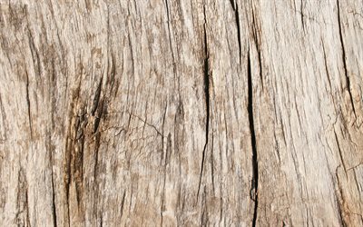 textura de madeira rachada, 4k, marrom claro de fundo de madeira, macro, fundos de madeira, texturas de madeira