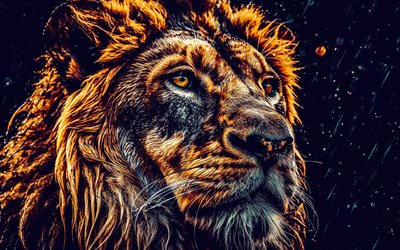 lion, prédateur, art créatif, museau de lion, animaux sauvages, les lions, animaux dangereux, concepts calmes